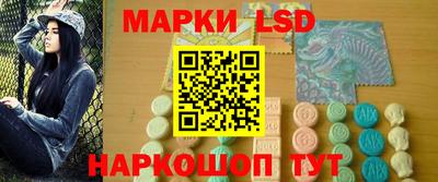 apvp Нальчик