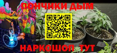 apvp Нальчик