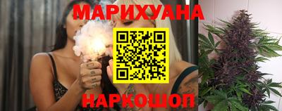 apvp Нальчик