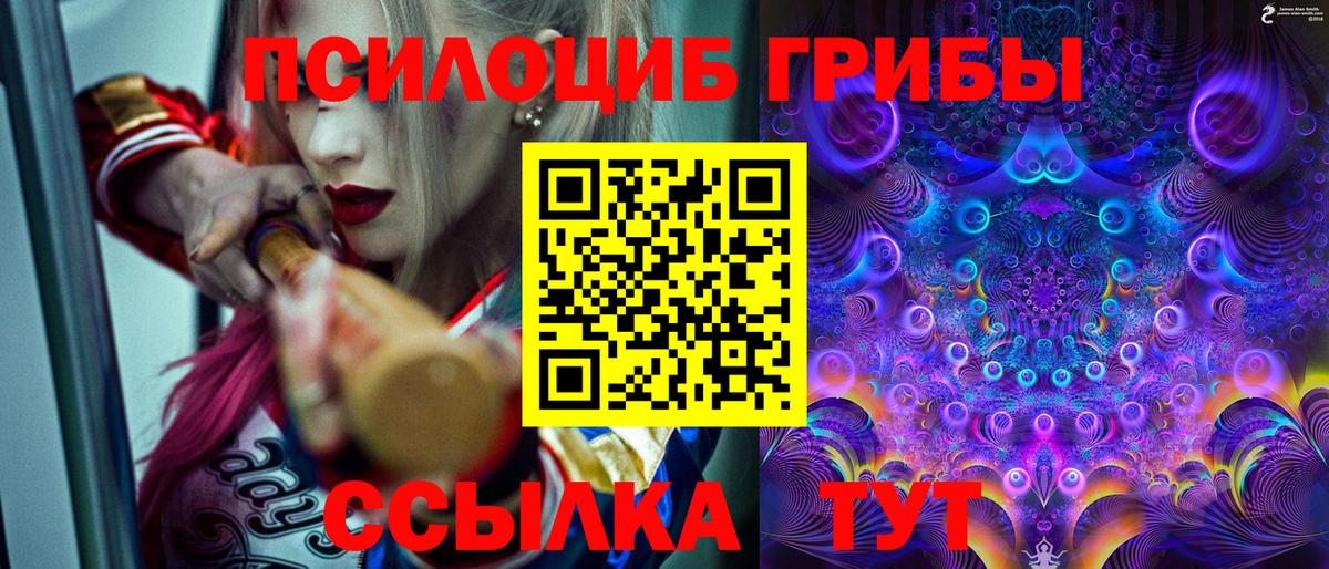 Псилоцибиновые грибы ЛСД  наркошоп  Галлюциногенные грибы мицелий  Солнечногорск  Вход с VPN 