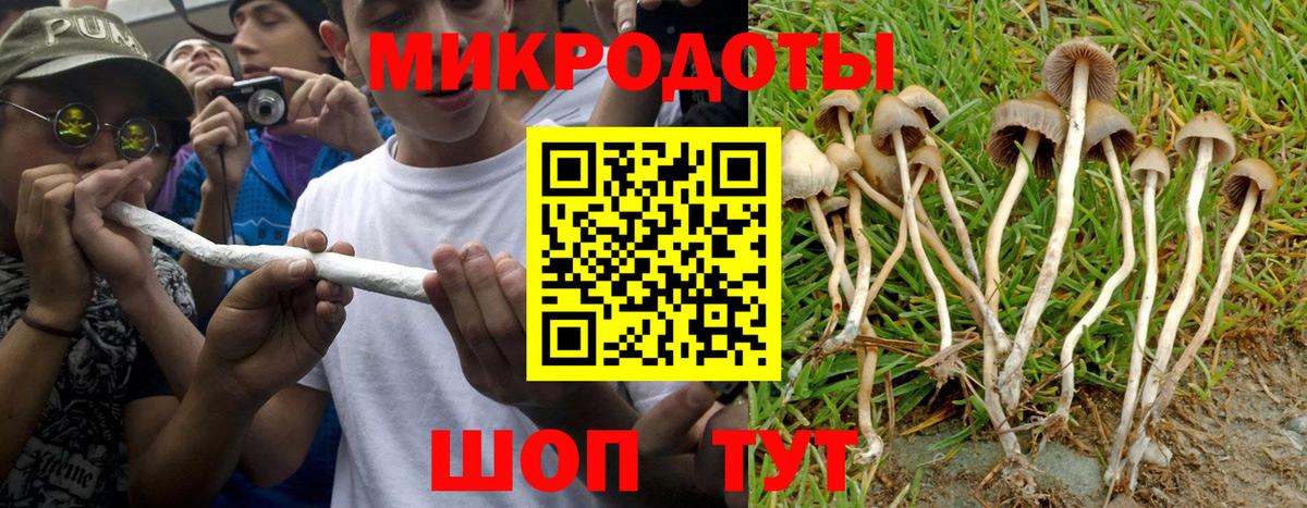Псилоцибиновые грибы мицелий Солнечногорск